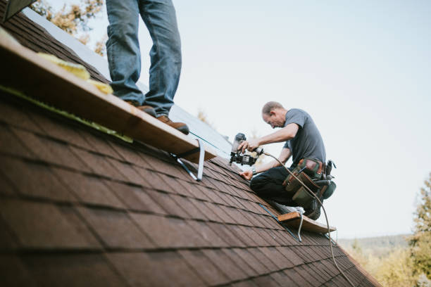 Best Roof Gutter Cleaning  in Edna, TX